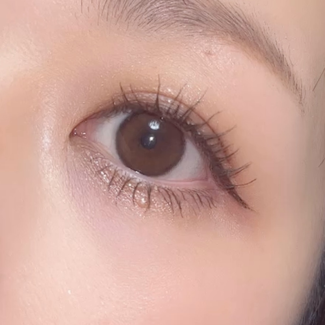 デザイナーアイズ＆チークパレット/PERFECT DIARY/アイシャドウパレットを使ったクチコミ（3枚目）