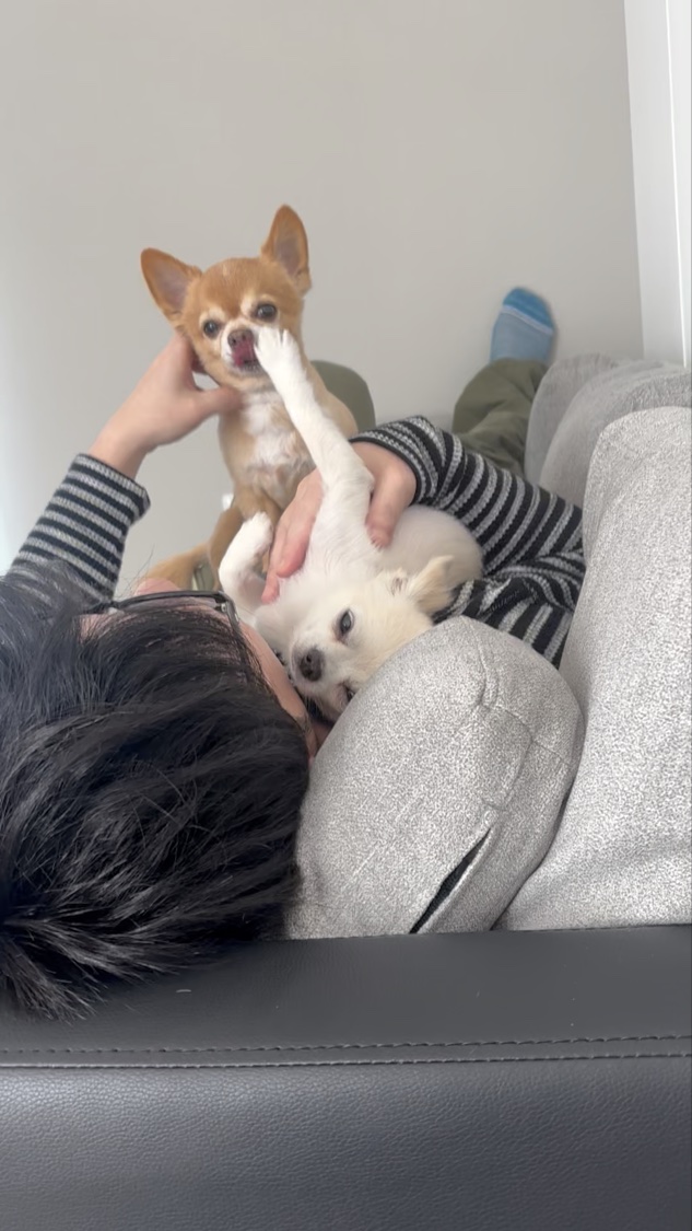 もち肌コラーゲンリフティングマスク/MEDICUBE/シートマスク・パックの動画クチコミ2つ目