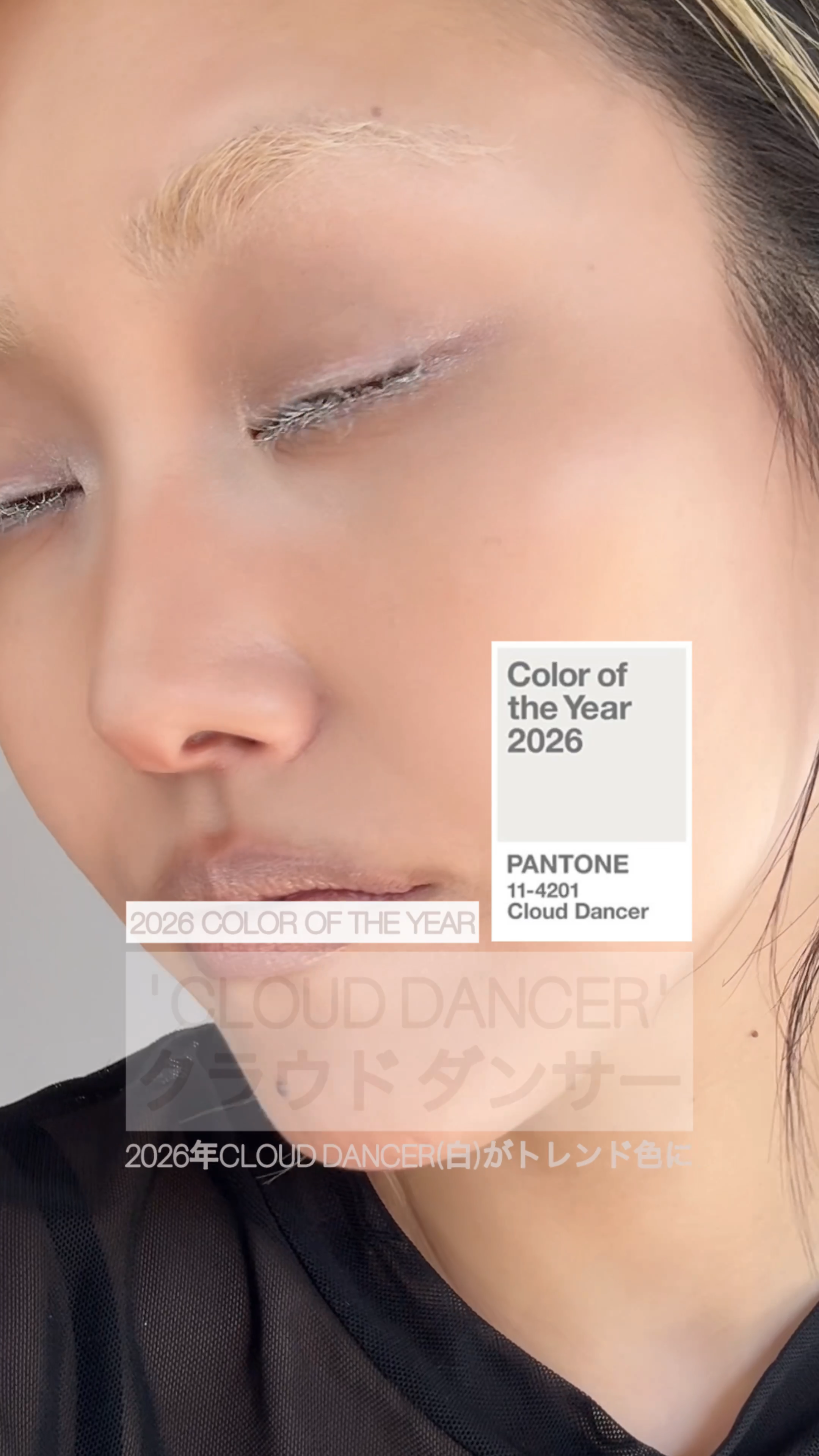 アイシャドウ メタリック/M・A・C/単色アイシャドウの動画クチコミ2つ目