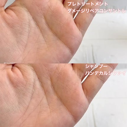 試してみた】ダメージ リペア コンサントレ ケラスターゼの効果 試してみた】ダメージ リペア コンサントレ ケラスターゼの効果