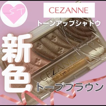 トーンアップアイシャドウ/CEZANNE/アイシャドウパレットを使ったクチコミ（1枚目）