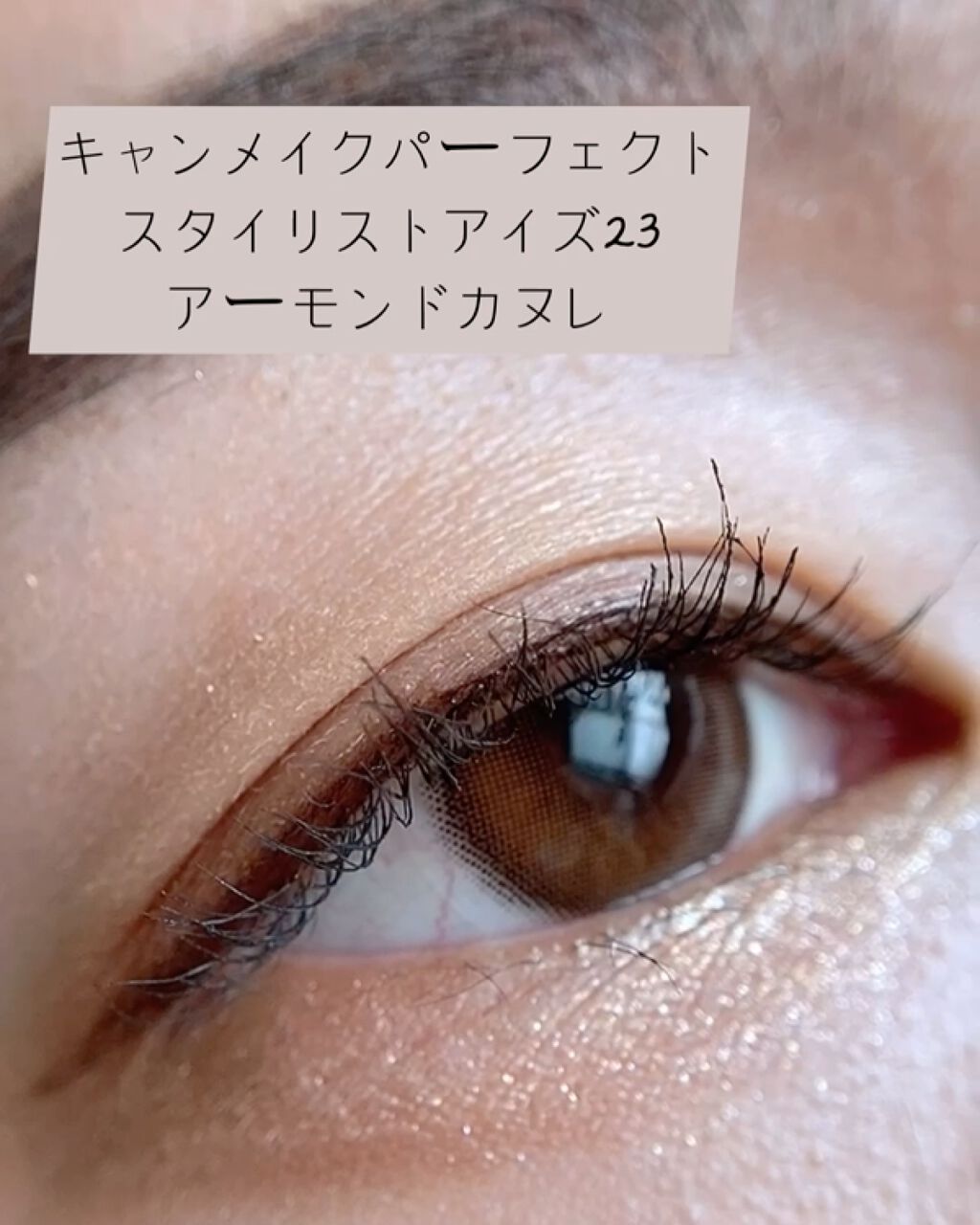 パーフェクトスタイリストアイズ/キャンメイク/アイシャドウパレットを使ったクチコミ（1枚目）