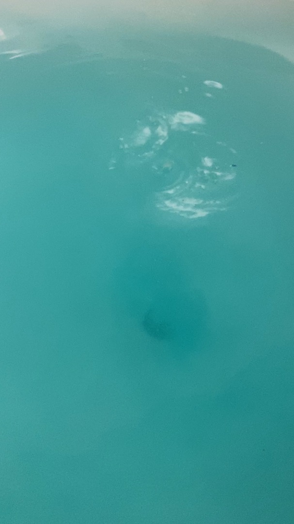 バブ 至福の森めぐり浴/バブ/炭酸系入浴剤の動画クチコミ1つ目