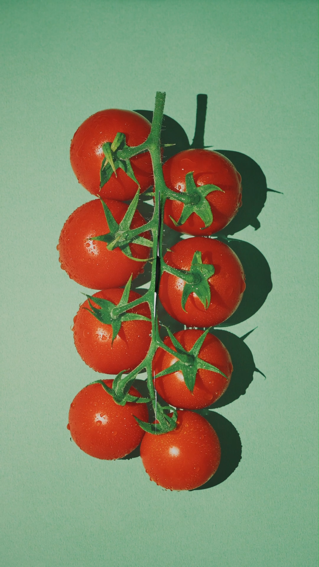 イ
　ガ
　　イ
　　　に
ト
　マ
　　ト
　　　🍅

な、ヘアオイル🌿



#BOTANIST

＿＿＿＿＿＿＿＿＿＿＿​
BOTANIST フレグランスコレクション​
数量限定* 晴れた日の朝のガーデンの香り​
フルーツトマト&