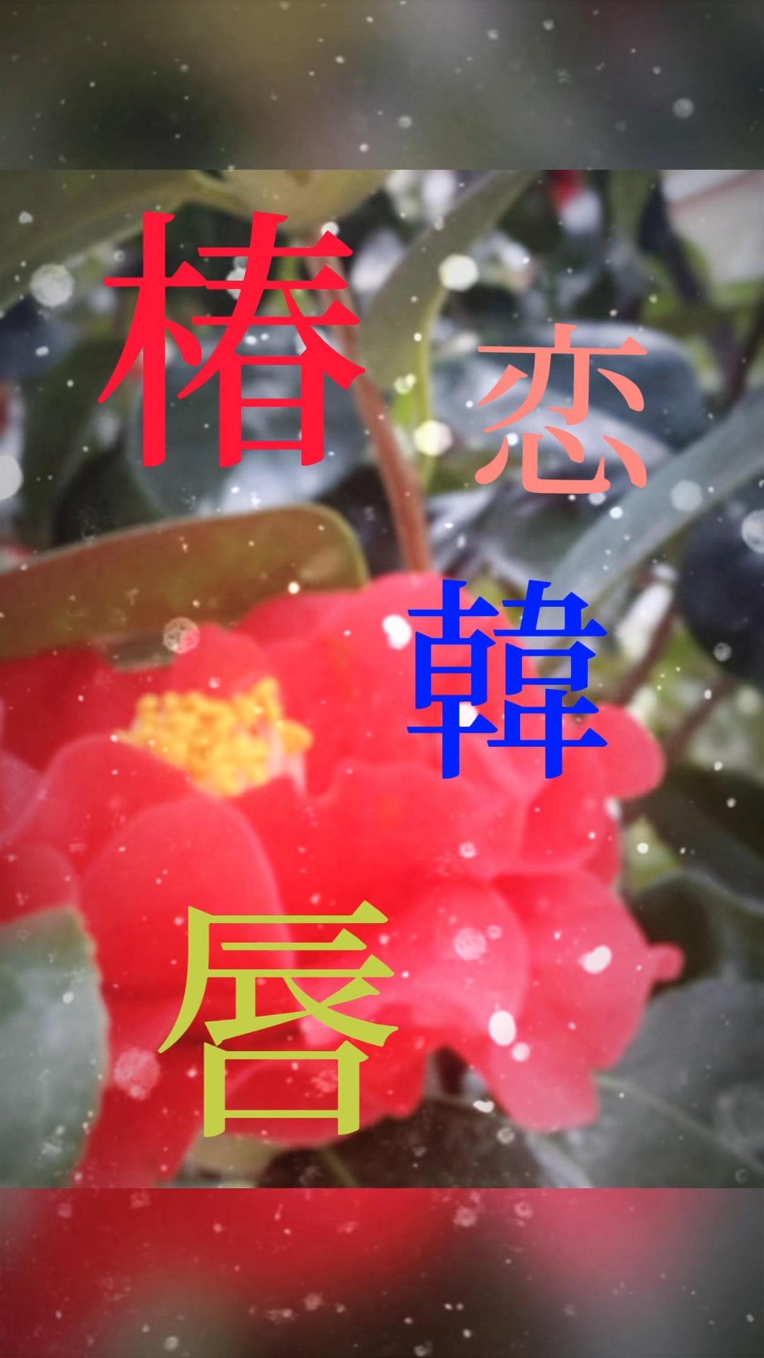 ナチュラルブルームリップオイルセラム 3色セット/PINATE/リップグロスを使ったクチコミ（1枚目）