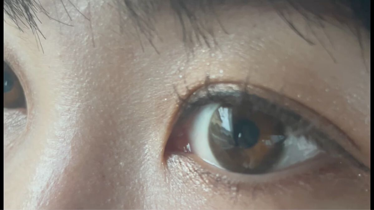 アイカラーレーション/LUNASOL/アイシャドウパレットを使ったクチコミ（2枚目）