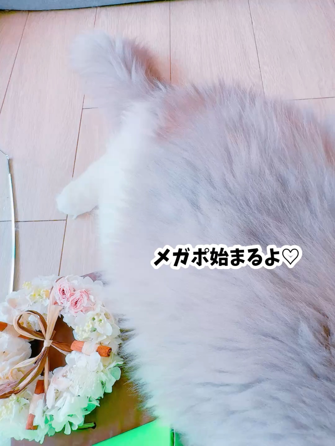 .
Qoo10 20%メガポでおすすめの
韓国コスメ12選🩷

【メガポ期間】5月1日（木）～5月8日（木）

♡Anua
コラーゲンマスクパック3種
（ドクダミ/桃／ライス）
→ドクダミ/桃/ライスの成分とコラーゲンをパック1枚に詰め込