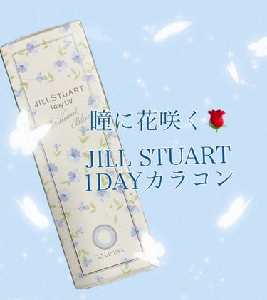 JILL STUART 1day UV/JILL STUART/ワンデー（１DAY）カラコンの動画クチコミ5つ目