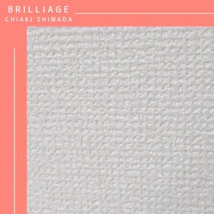 ワンダークリエイション /ブリリアージュ/単色アイシャドウを使ったクチコミ(3枚目)