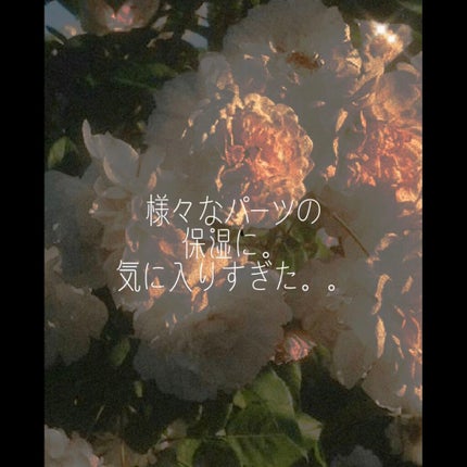 プレミアムボディミルク/ニベア/ボディミルクの人気ショート動画