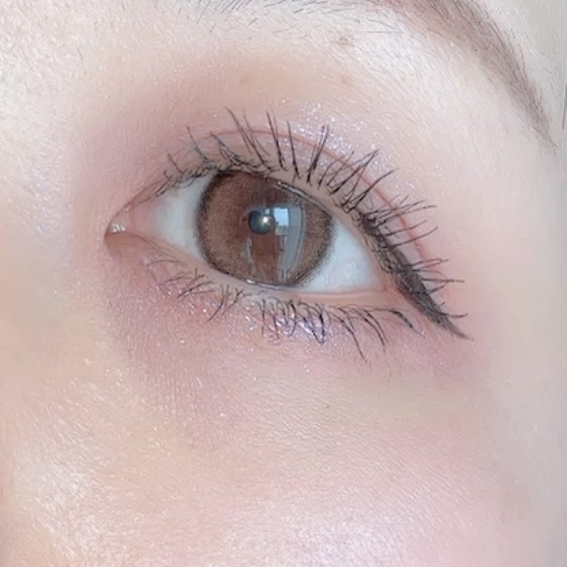 フィー ポケットアイパレット/fwee/アイシャドウパレットを使ったクチコミ（3枚目）