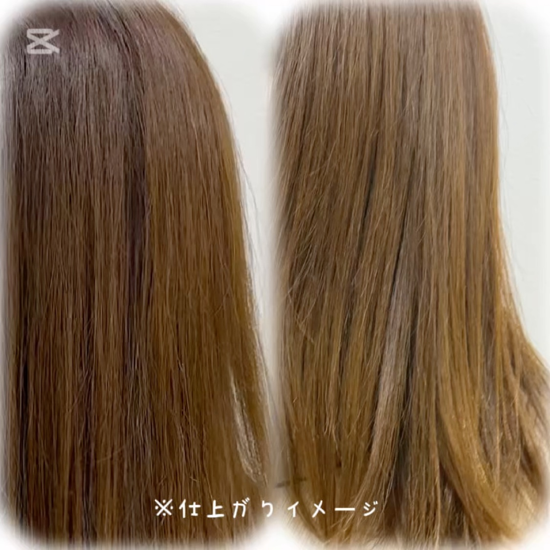 プルント　ヴェーリング美容液シャンプー／トリートメント/Purunt./シャンプー・コンディショナーを使ったクチコミ（2枚目）