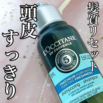 ファイブハーブス ピュアフレッシュネス シャンプー/コンディショナー/L'OCCITANE/市販シャンプーの人気ショート動画