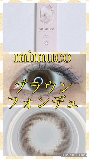 mimuco 1day ブラウンフォンデュ/mimuco/ワンデー（１DAY）カラコンを使ったクチコミ（1枚目）