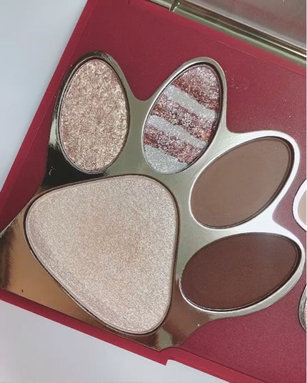 トラ十色アイシャドウパレット/COLORKEY/アイシャドウパレットを使ったクチコミ(4枚目)