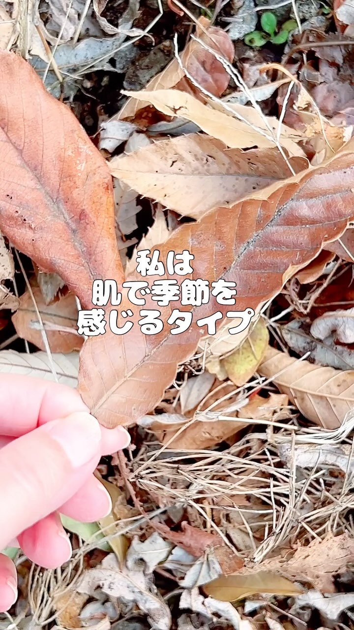 センシティブマスク/ALFACE+/シートマスク・パックの人気ショート動画