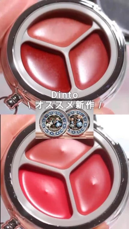 ブラーリングタイムトゥーキスアンドブラッシュ/Dinto/口紅の人気ショート動画
