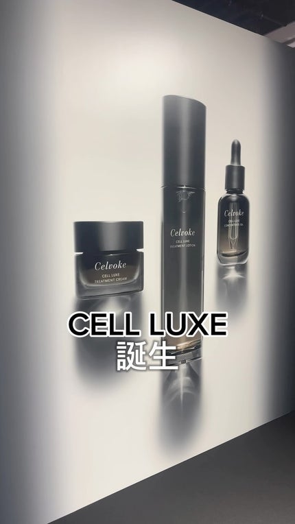 試してみた】セルヴォーク セルリュクス コンセントレートオイル 試してみた】セルヴォーク セルリュクス コンセントレートオイル