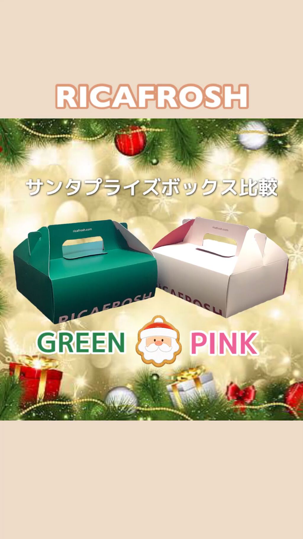 サンタプライズボックス/RICAFROSH/メイクアップキットを使ったクチコミ（1枚目）