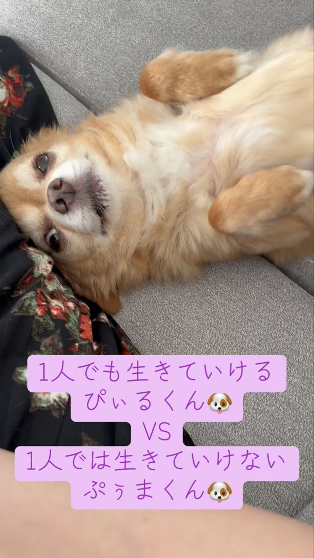 ディオールショウ スティロ ウォータープルーフ/Dior/アイライナーの動画クチコミ1つ目