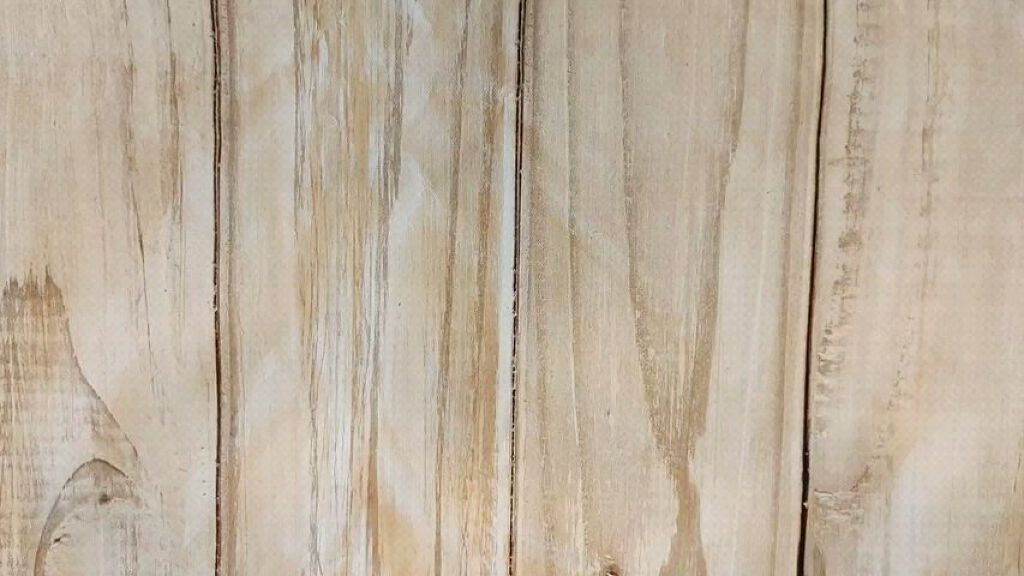 デューイ ブラー ティント/CLIO/リップティントの人気ショート動画