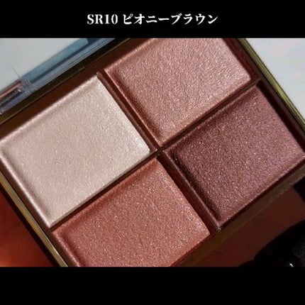 スキニーリッチシャドウ/excel/アイシャドウパレットを使ったクチコミ(2枚目)