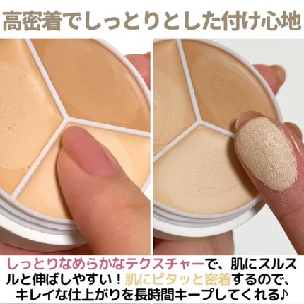 カバーアッププロコンシーラー/TFIT/パレットコンシーラーを使ったクチコミ(5枚目)