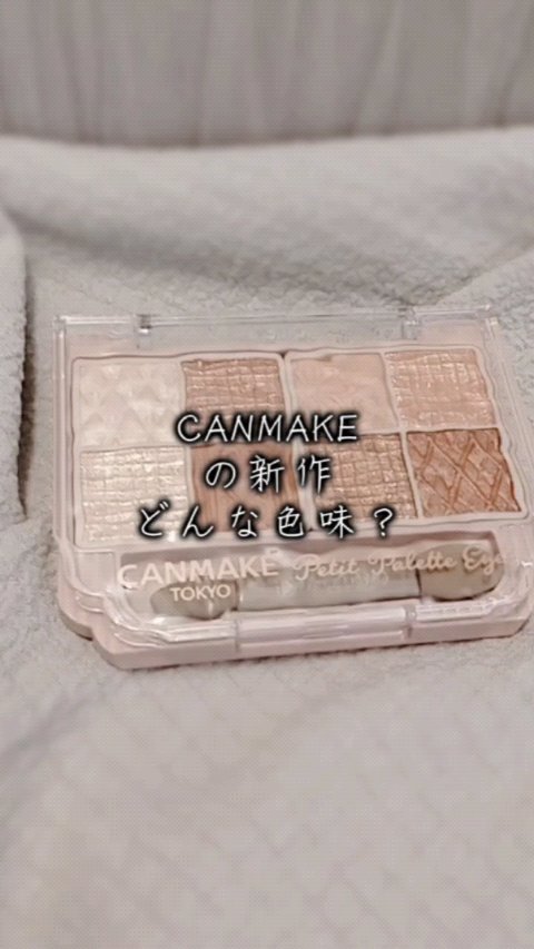 プティパレットアイズ/キャンメイク/パウダーアイシャドウを使ったクチコミ（1枚目）