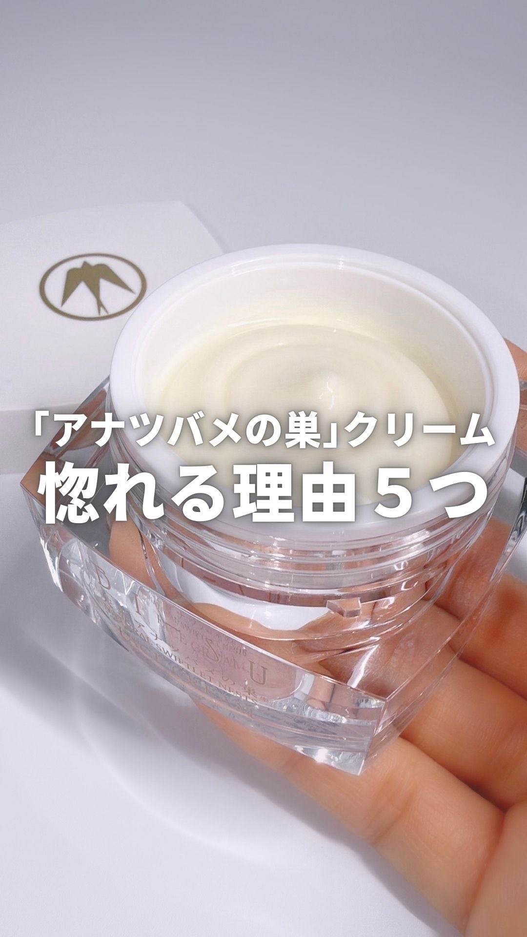 GINZA SIXで売ってる噂の高級クリーム、お高くても納得の理由が詰まってた。
大人の肌が求めるもの叶えすぎててむしろコスパ良いまである…？！🖤
#bisu #スキンケア #クリーム #保湿クリーム #ご褒美コスメ会議 