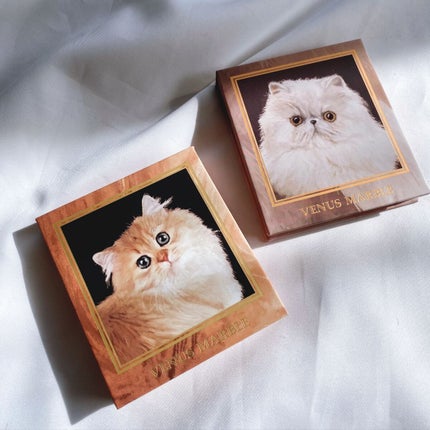 Venus Marble アイシャドウキャットシリーズ/Venus Marble/アイシャドウパレットの人気ショート動画