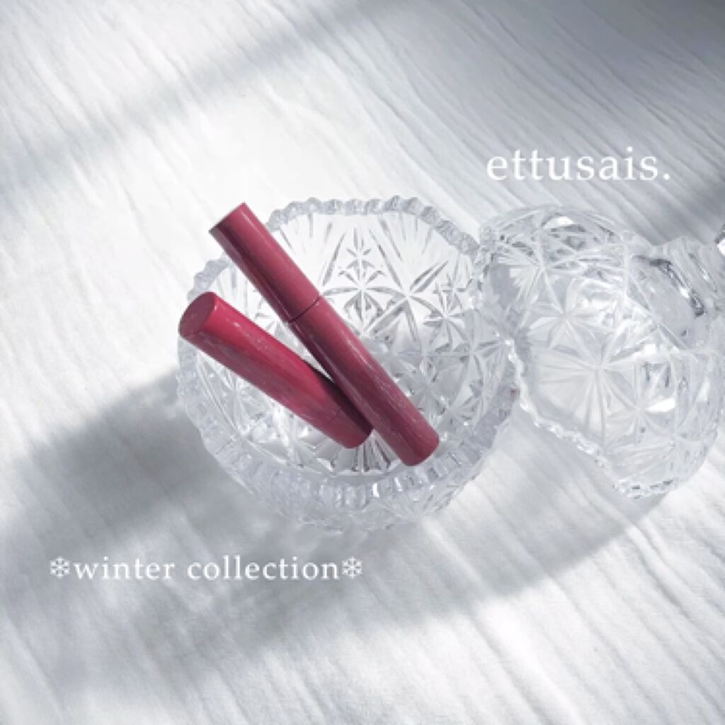 エテュセ リップエディション（プランパー）リッチスタイル/ヘルシースタイル/ettusais/リップケアを使ったクチコミ（1枚目）