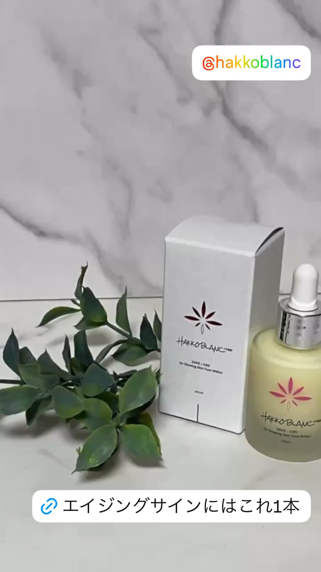 試してみた】発酵ブラン 美容液 HAKKOBLANCの効果・肌質別の口コミ