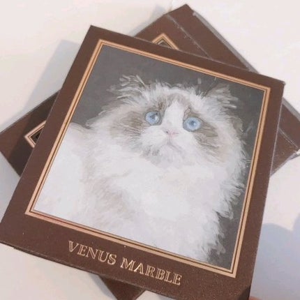 Venus Marble アイシャドウキャットシリーズ/Venus Marble/アイシャドウパレットの人気ショート動画