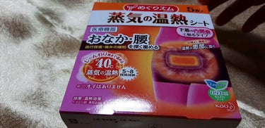 蒸気の温熱シート 下着の内側面に貼るタイプ/めぐりズム/その他を使ったクチコミ（1枚目）