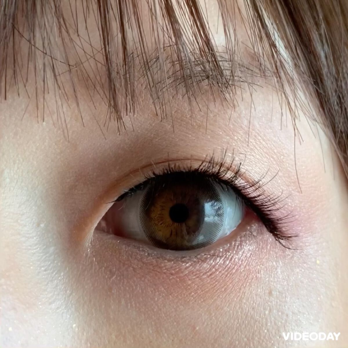 Lash Geek　ラッシュギーク　つけまつげ/ビー・エヌ/つけまつげの動画クチコミ4つ目