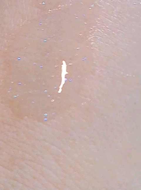 ガラスプランパー/CipiCipi/リッププランパーを使ったクチコミ（2枚目）