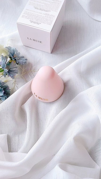 パーフェクトクーラー/ラミューズ/その他スキンケアグッズを使ったクチコミ(1枚目)