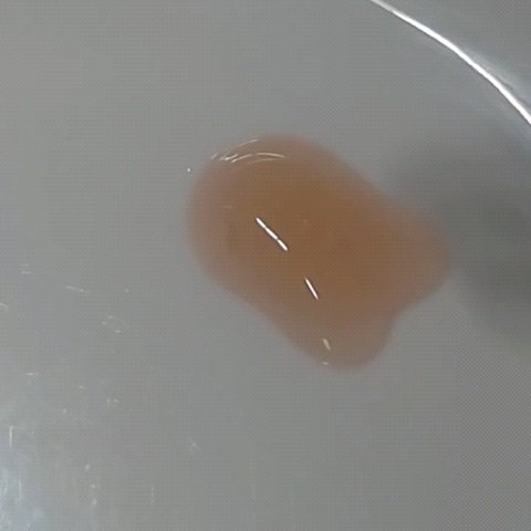 Little Drops Rebirth Day Ampoule/Hersteller/美容液を使ったクチコミ（3枚目）