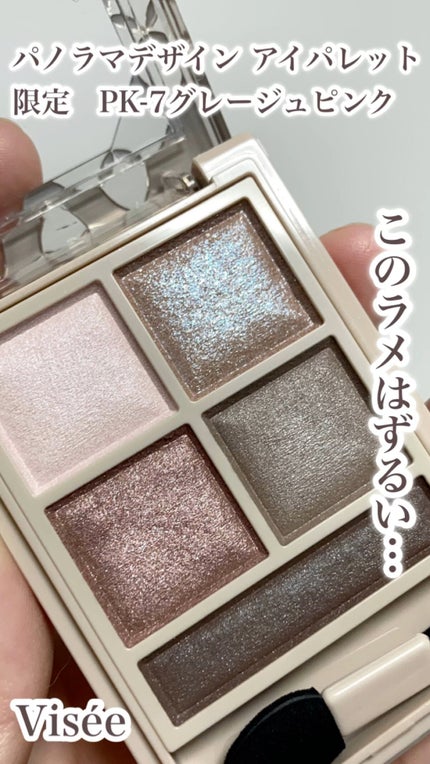 パノラマデザイン アイパレット/Visée/アイシャドウパレットの人気ショート動画
