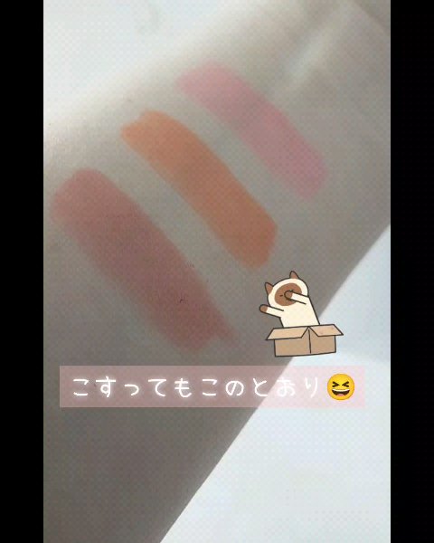 ブラーフィクシングリップペンシル/oiad/リップライナーの動画クチコミ5つ目