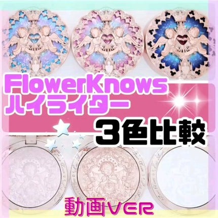 リトルエンジェル ハイライター/FlowerKnows/パウダーハイライトの人気ショート動画