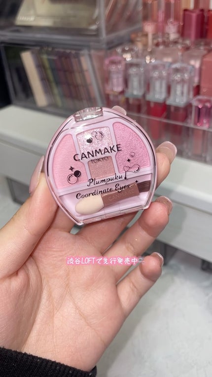 プランぷくコーデアイズ/キャンメイク/パウダーアイシャドウの人気ショート動画