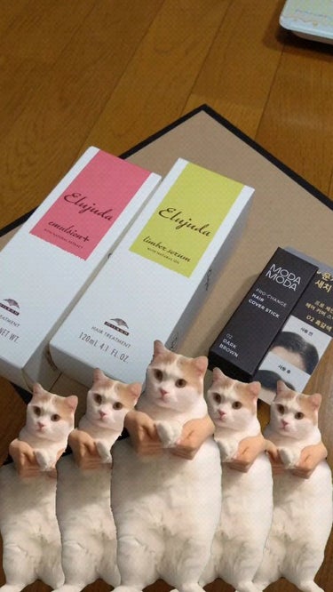 エルジューダ エルジューダ リンバーセラムのクチコミ「🐱安く買えたので、ねこミームにのせて🐱

買われるならQoo10がお安いですよ！！

#エルジ.....」（1枚目）