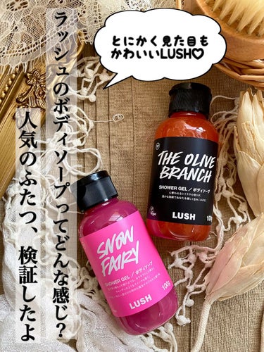 フェアリーキャンディ 100g / ラッシュ(LUSH) | LIPS