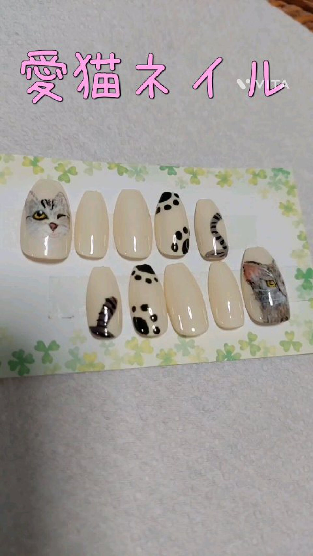 NAILTOWN GEL  ネイルタウンジェル 30色セット/NAILTOWN/ジェルネイルの人気ショート動画