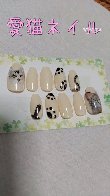 NAILTOWN GEL ネイルタウンジェル 30色セット/NAILTOWN/ジェルネイルの人気ショート動画