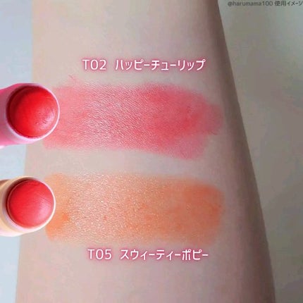 ステイオンバームルージュ(ティントタイプ)/キャンメイク/リップティントを使ったクチコミ(5枚目)