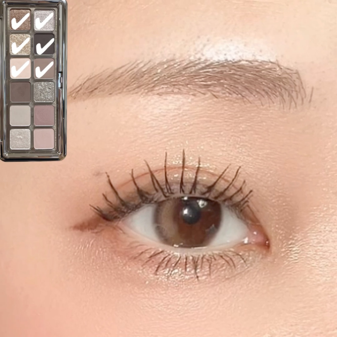 3CE ニューテイク アイシャドウパレット/3CE/アイシャドウパレットを使ったクチコミ（3枚目）