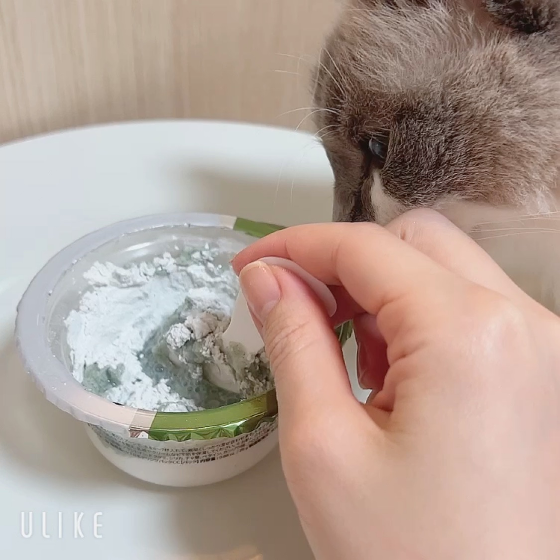 リードルショットEX CICAモデリングパック/VT/シートマスク・パックの動画クチコミ3つ目