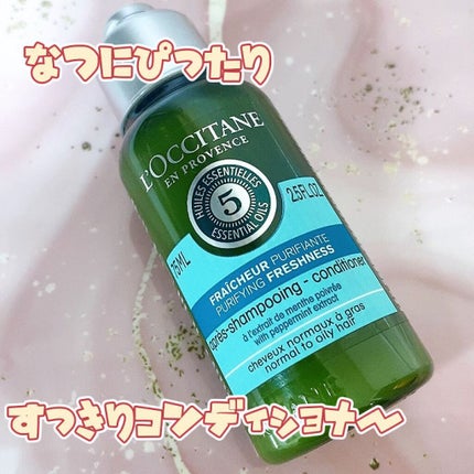 ファイブハーブス ピュアフレッシュネス シャンプー/コンディショナー/L'OCCITANE/市販シャンプーの人気ショート動画
